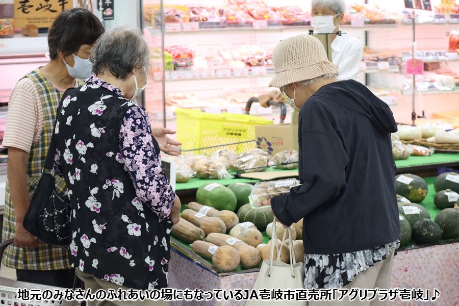 数量限定予約販売】いきいき野菜BOX～JA壱岐市「アグリプラザ四季菜館