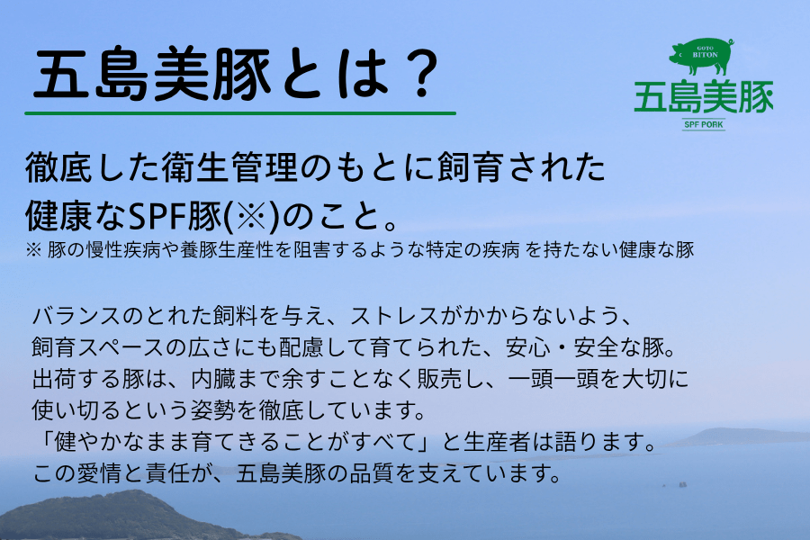 五島美豚・五島牛 小間切れセット(JAごとう)