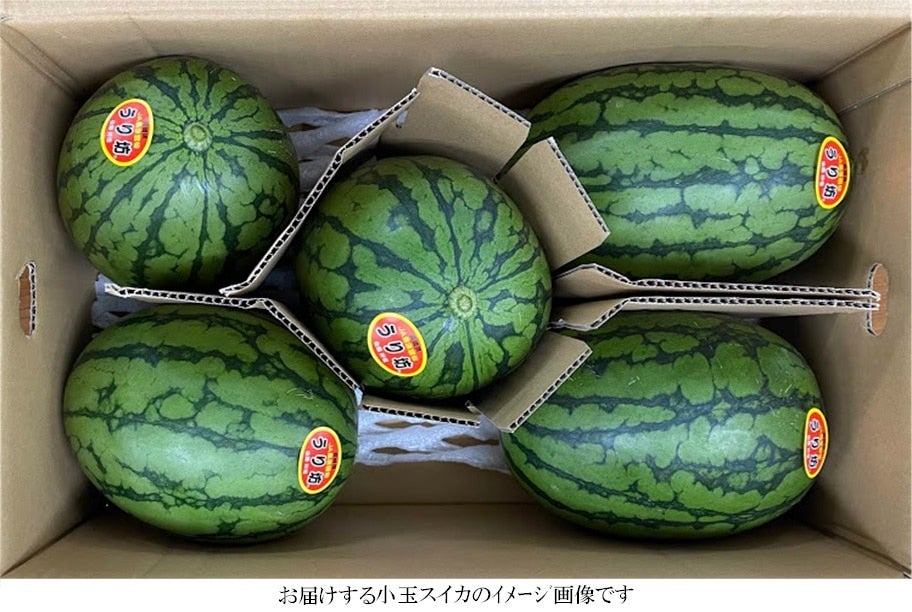 予約販売※6/3以降出荷☆長崎県産小玉スイカ うり坊: もぐもぐながさき|【ＪＡタウン】産地直送 通販 お取り寄せ