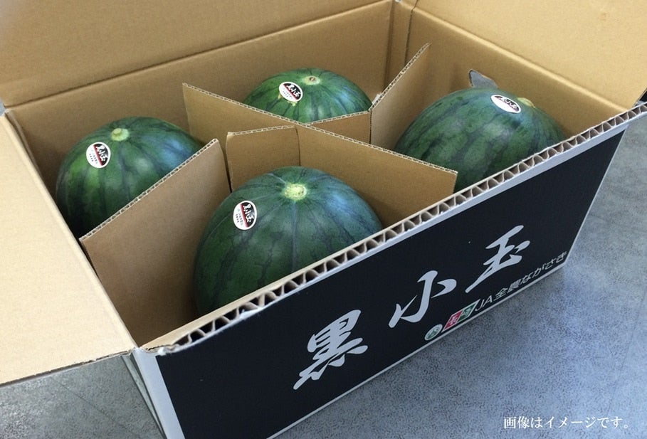 予約販売】長崎県産 黒小玉スイカ: もぐもぐながさき|【JA