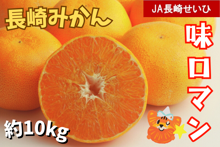 ݂u} 10kgviJA肹Ёj