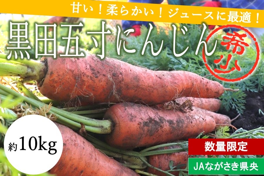 〈約10kg〉(B)黒田五寸にんじん 〜甘みがありやわらかく・水分が多い!ジュースに最適な品種!〜※12/1より順次出荷予定