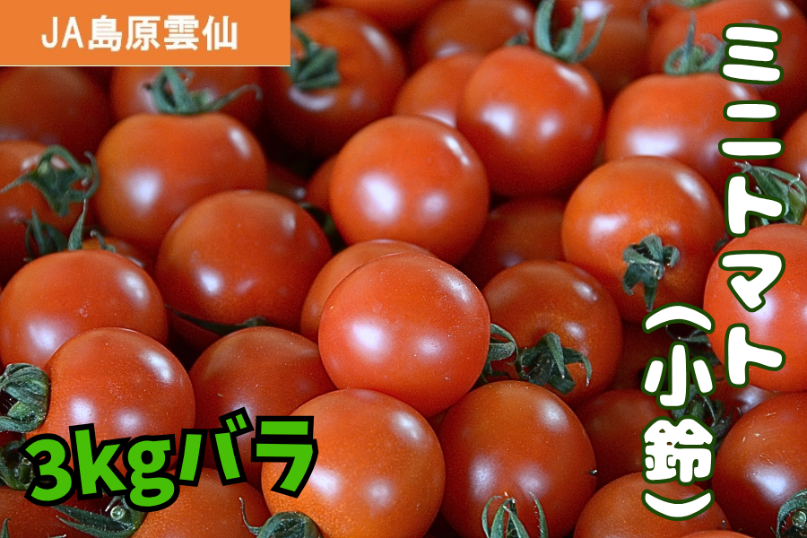 ★ミニトマト9kg★ 予約販売】長崎県産ミニトマト 小鈴（JA島原雲仙）※10月末より順次出荷