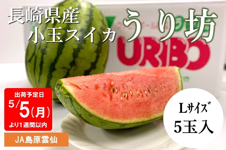 予約販売※5/6以降出荷★長崎県産小玉スイカ うり坊