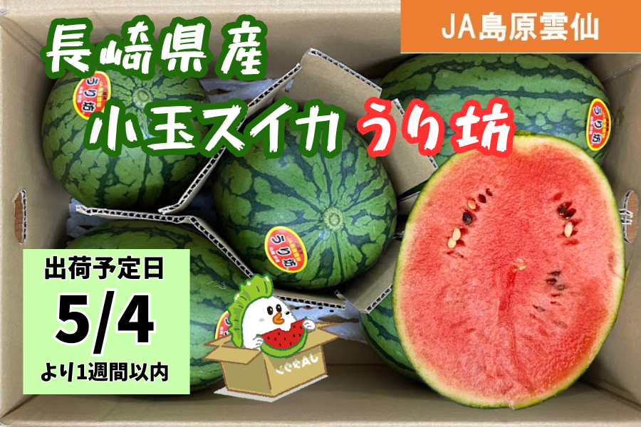 予約販売】※5/4以降出荷☆長崎県産小玉スイカ うり坊: もぐもぐ