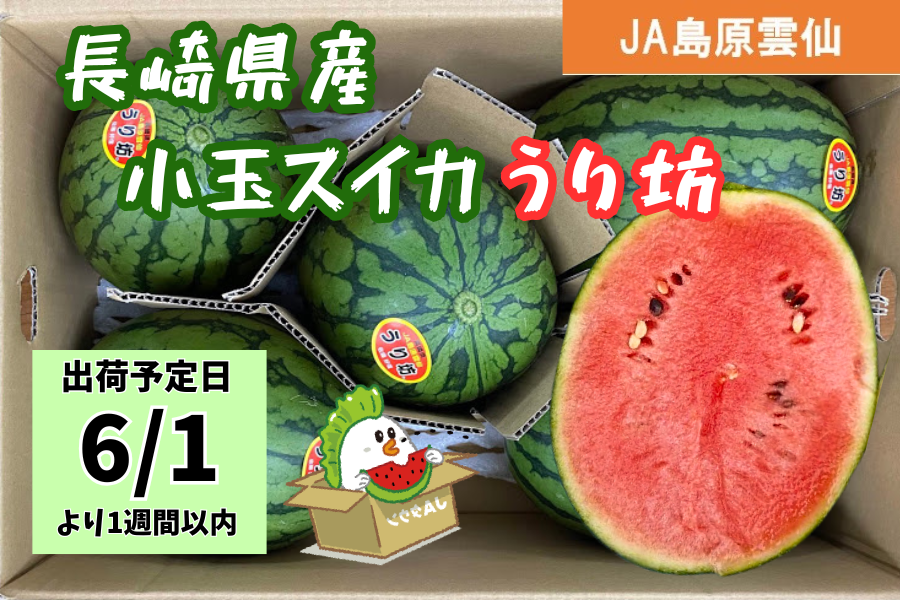 予約販売】※6/1以降出荷☆長崎県産小玉スイカ うり坊: もぐもぐ