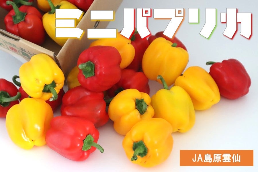 産地直送 通販 お取り寄せ A 長崎県産 ミニパプリカ もぐもぐながさき ｊａタウン