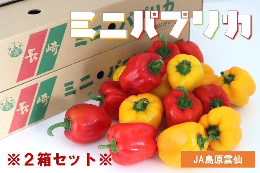 産地直送 通販 お取り寄せ B 長崎県産 ミニパプリカ ２箱セット もぐもぐながさき ｊａタウン