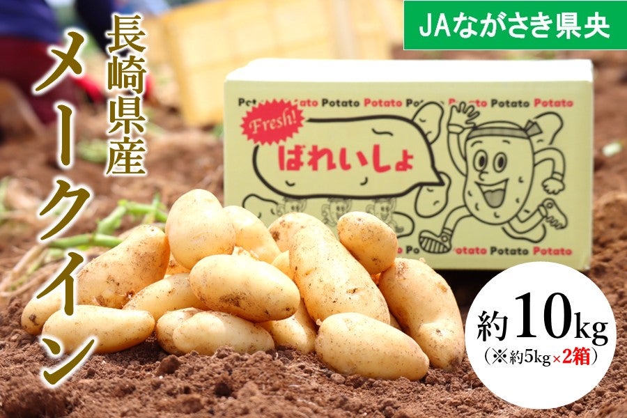 約10kg　※週に１回の出荷　C　通販　もぐもぐながさき|【ＪＡタウン】産地直送　メークイン　JAながさき県央:　お取り寄せ