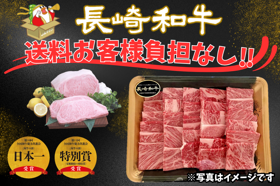 長崎和牛 焼肉用 約500g(簡易包装)【送料お客様負担なし】