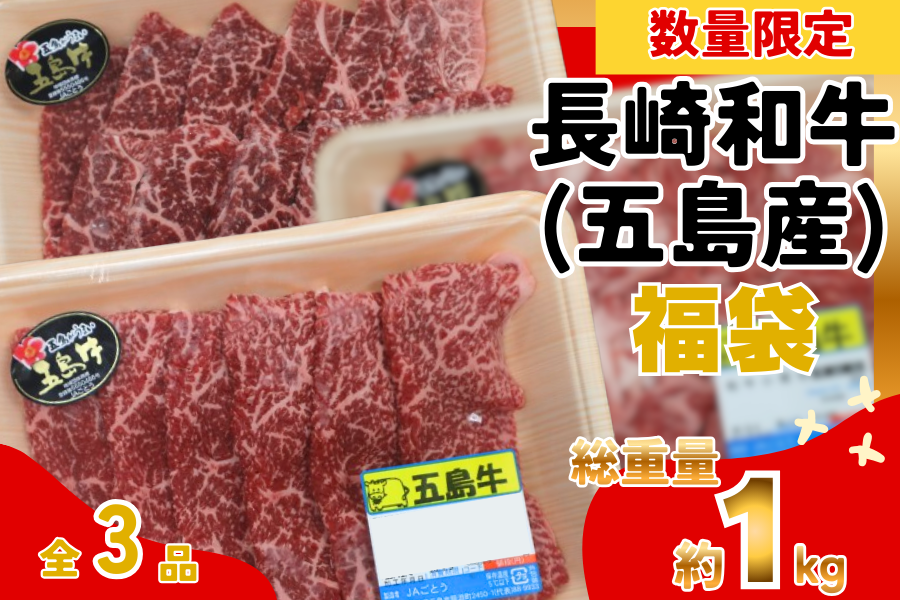 【福袋CP】長崎和牛3点セット(JAごとう)《送料お客様負担なし・数量限定》