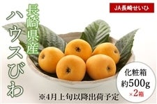 y\̔zB 茧YnEXт 2ZbgiJA肹Ёj500×2/ϔ 4{菇oח\