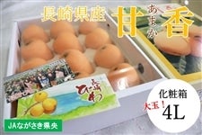 長崎県産　びわの種　約5.3キロ びわ 長崎 無農薬 送料無料 1kg Lサイズ 無農薬 長崎産 果物
