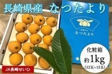 yʌE\̔zA 茧YȂiϔj1 5{菇oח\