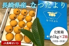 yʌE\̔zB 茧YȂiϔj2 5{菇oח\