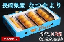 y\̔zB 茧YȂ 4P×2@5{菇oח\