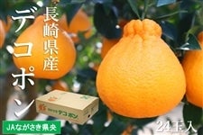 �y�\��̔��z���茧�Y �I�n�f�R�|�� ��5kg 24�ʓ� ��3�����{��菇���o�ח\��