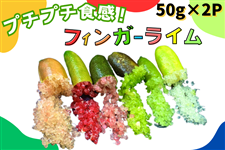 y\̔zq50g×2Pr茧Y tBK[CiJA_j8/20菇oח\