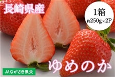 A ���茧�Y ��߂̂��i�������j1���i��ʖ�250g×2P�jJA�Ȃ�����������1/15��菇���o�ח\��