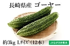 茧Y S[[iJAȂj