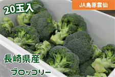 【予約販売】長崎県産ブロッコリー 20玉入(JA島原雲仙)※10月末より順次出荷予定