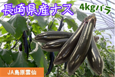 【予約販売】長崎県産ナス(JA島原雲仙)※11月より順次出荷予定