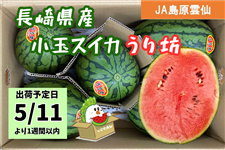 �y�\��̔��z��5/11�ȍ~�o�ׁ����茧�Y���ʃX�C�J ����V