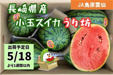 �y�\��̔��z��5/18�ȍ~�o�ׁ����茧�Y���ʃX�C�J ����V