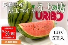 y\̔z5/26ȍ~oׁ茧YʃXCJ V
