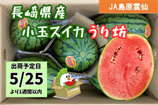 �y�\��̔��z��5/25�ȍ~�o�ׁ����茧�Y���ʃX�C�J ����V