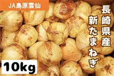 q10kgr茧Y V܂˂iJA_j