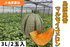 �y�\��̔��z��3L/2�ʓ��Ⓡ������ �}���Z�C���������iJA�����_��j��5�����{����菇���o�ח\��