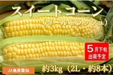y\̔zq3kg/2L(8{)rXC[gR[iS[hbVj5{oח\