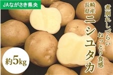 y\̔zB jV^J 5kg 5/7菇oח\ JAȂ