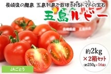 y\̔Eʌzܓr[i2kg×2j