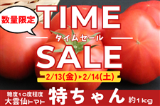 �s�^�C���Z�[���J�Ò��I�t��_��g�}�g�`�������g�}�g�`