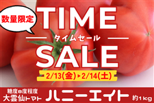 �s�^�C���Z�[���J�Ò��I�t��_��g�}�g �n�j�[�G�C�g�y��1kg�z