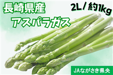 yʌz茧YAXpKXy2LTCY/1kgzii`Ȃj