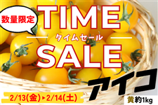 �s�^�C���Z�[���J�Ò��I�t�������茧�Y �A�C�R ��1kg�iJA�����_��j