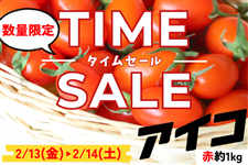 �s�^�C���Z�[���J�Ò��I�t�ԁ����茧�Y �A�C�R ��1kg�iJA�����_��j