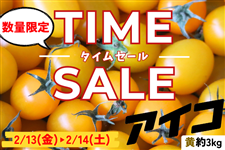 �s�^�C���Z�[���J�Ò��I�t�������茧�Y �A�C�R ��3kg�iJA�����_��j