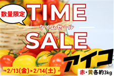 �s�^�C���Z�[���J�Ò��I�t�ԁ��������茧�Y �A�C�R �e��3kg�iJA�����_��j