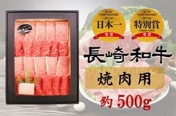 長崎和牛 焼肉用 約500g