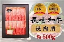 長崎和牛 焼肉用 約500g