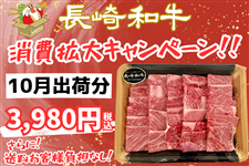 �y10���o�ו��z����a�� �ē��p�@��500g�i�ȈՕ�j�y����g��CP���������q�l���S�Ȃ��z