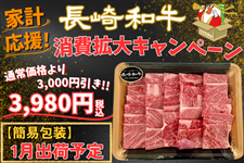 3冊 限定 非売品 ホットペッパー 和牛 新聞 グッズ 3冊 限定 非売品 ホットペッパー 和牛 新聞 グッズ