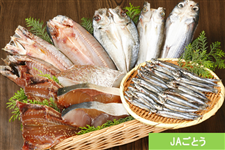 �y���������W�z�e���N�� �V�N��銱���l�ߍ��킹�iJA���Ƃ��j��7/1��菇���o�ח\��