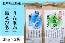 �y���������W�z���茧�Y�� 2kg×2�Z�b�g�w���������E����܂��x�iJA���Ƃ��j��7/1��菇���o�ח\��