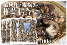 規格外・業務用 椎茸詰合せ400g×4: もぐもぐながさき|【JAタウン