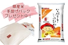 長崎県産米 令和5年産「【新米】ながさき ひのひかり」 ～県産米